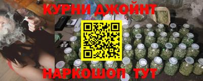 гидра Краснознаменск